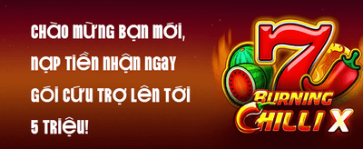 Ưu Đãi Bạn Bè promotion banner